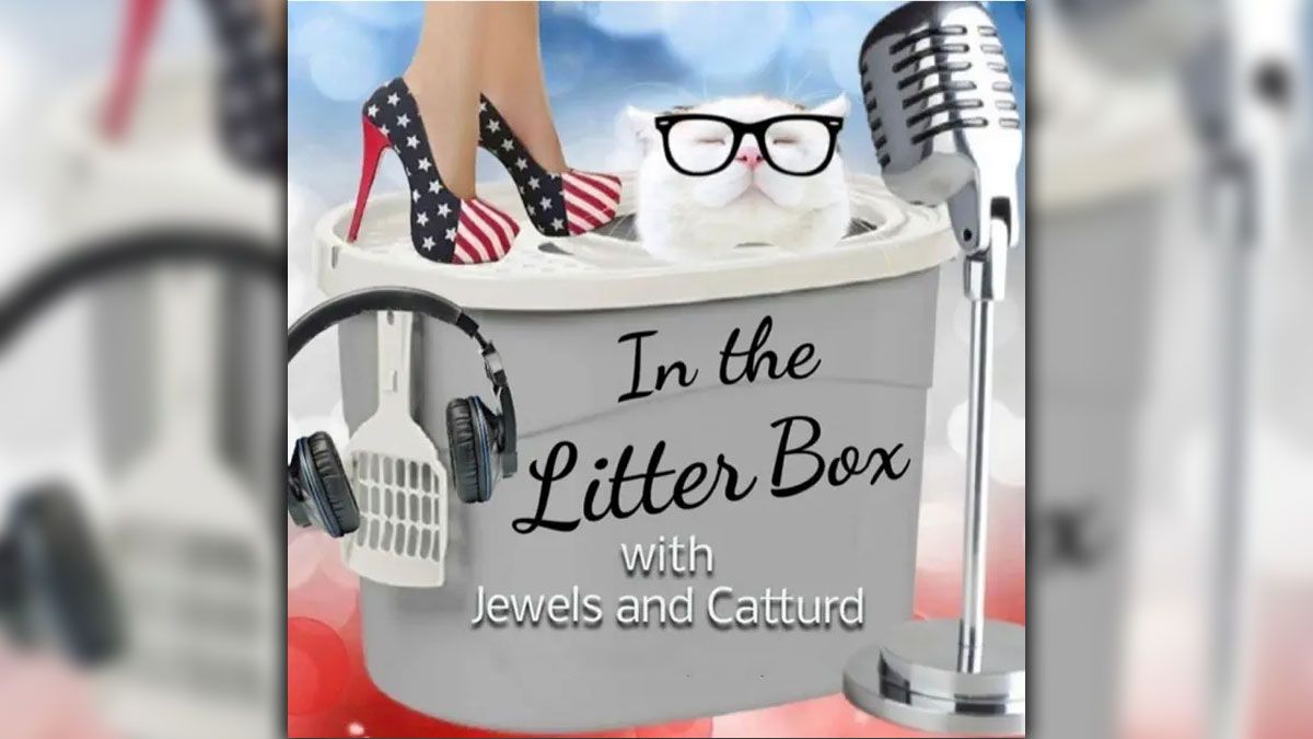 In the Litter Box