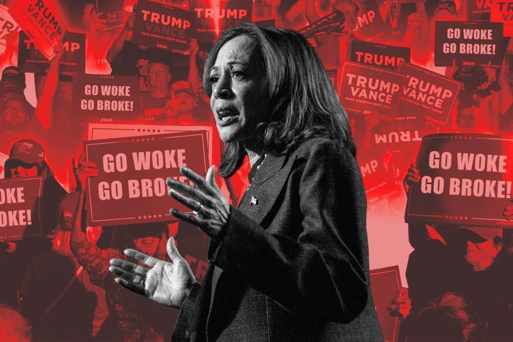 Kamala Harris learns the hard way that woke doesn&rsquo;t work