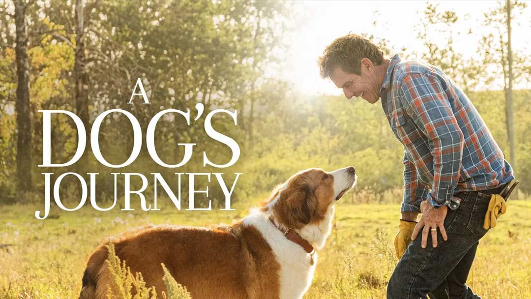 NOT WOKE SHOWS: A Dog's Journey