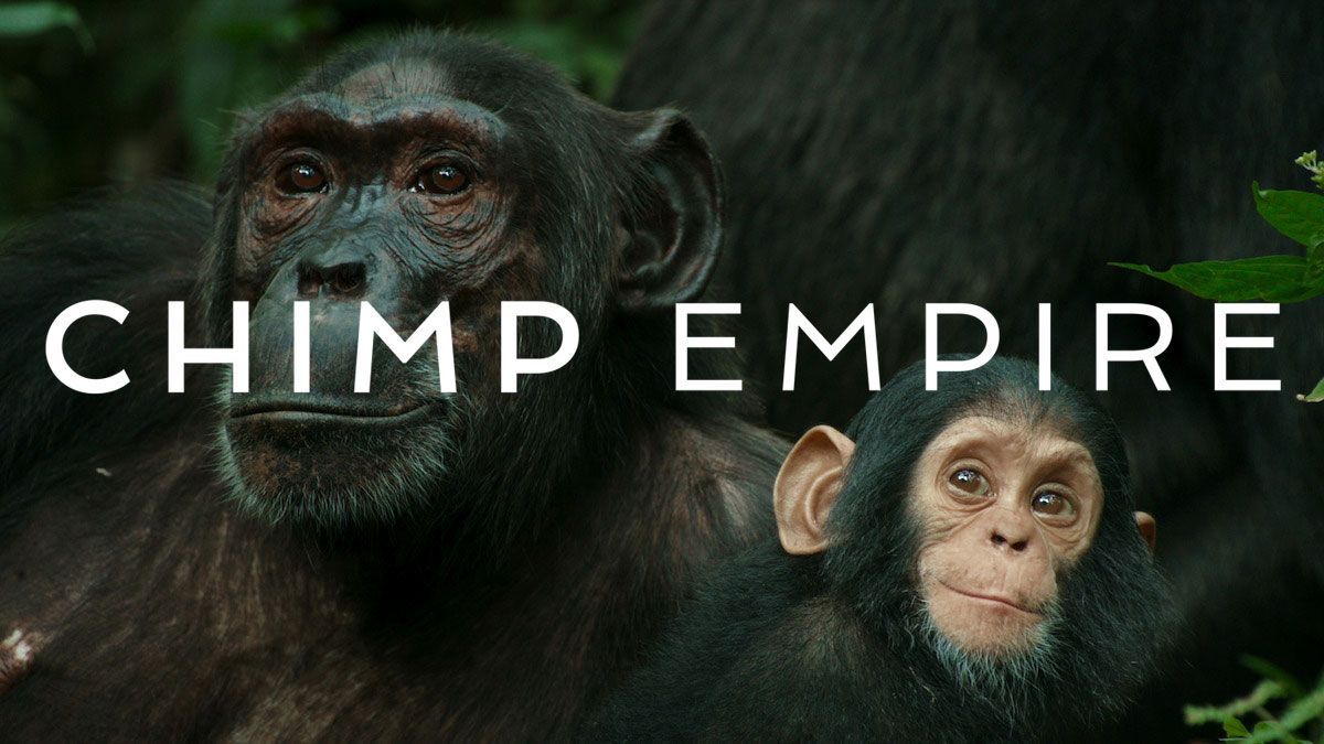 NOT WOKE SHOWS: Chimp Empire