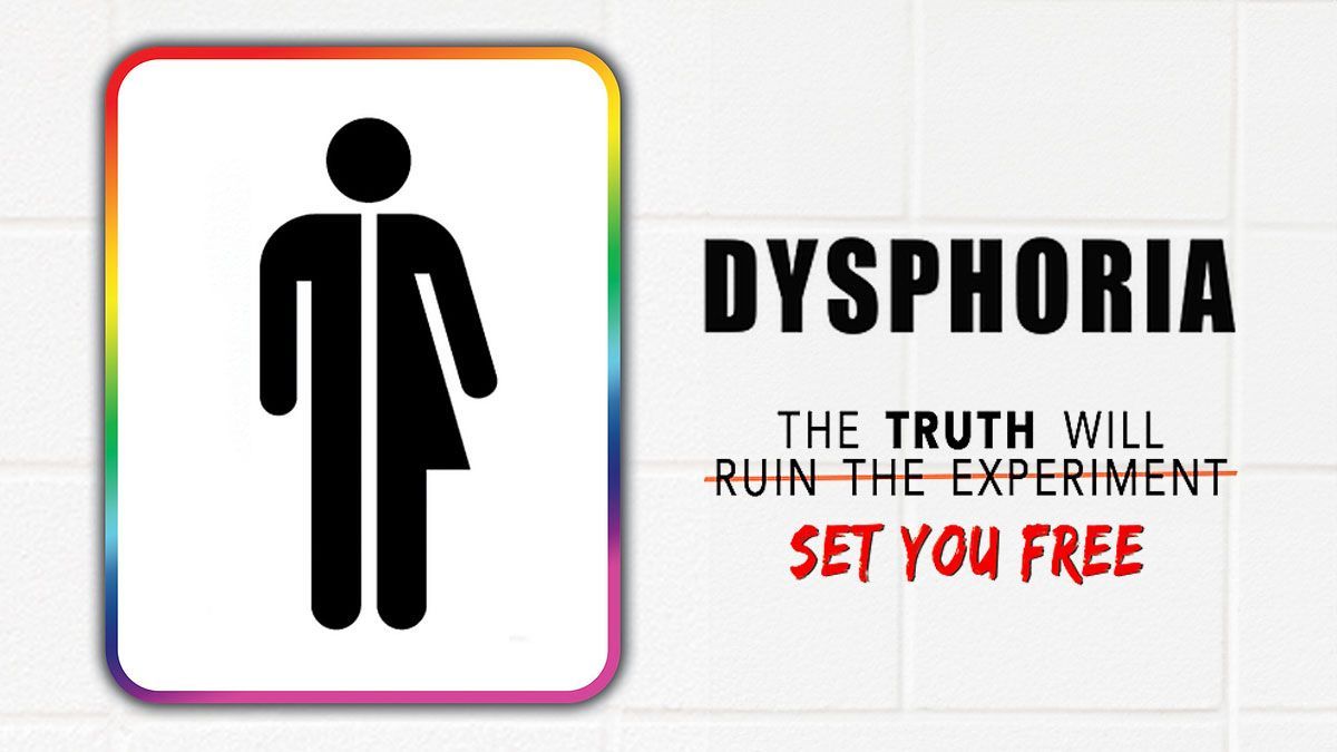 NOT WOKE SHOWS: Dysphoria