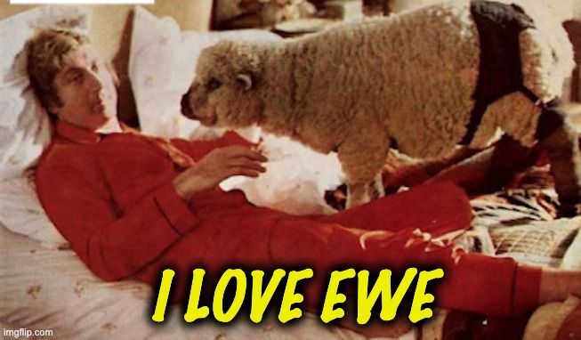 Professor Defends ‘Thought-Provoking’ Article Excusing Bestiality