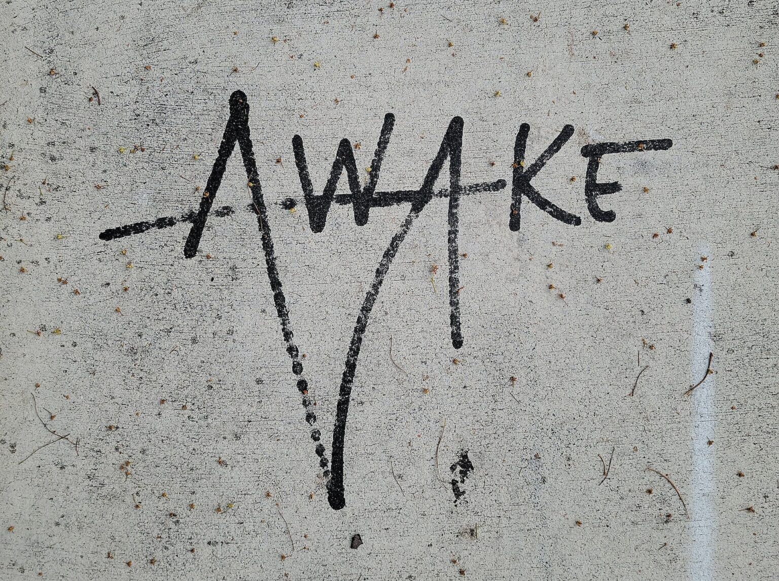 awake