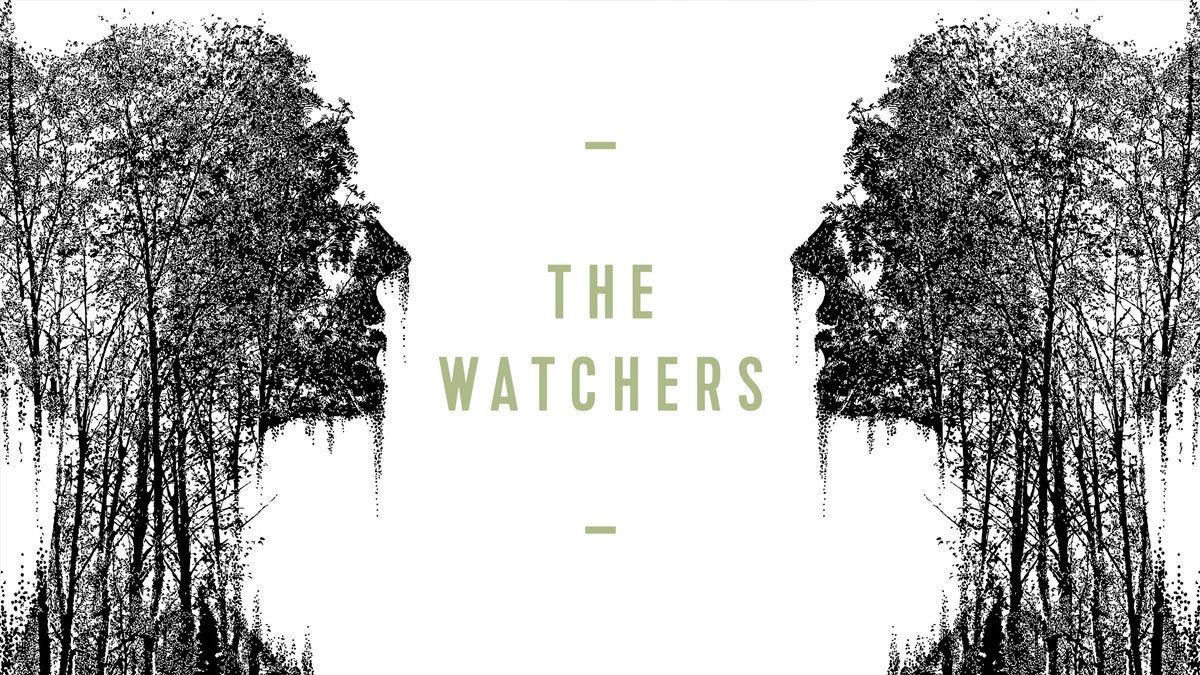 NOT WOKE SHOWS: The Watchers
