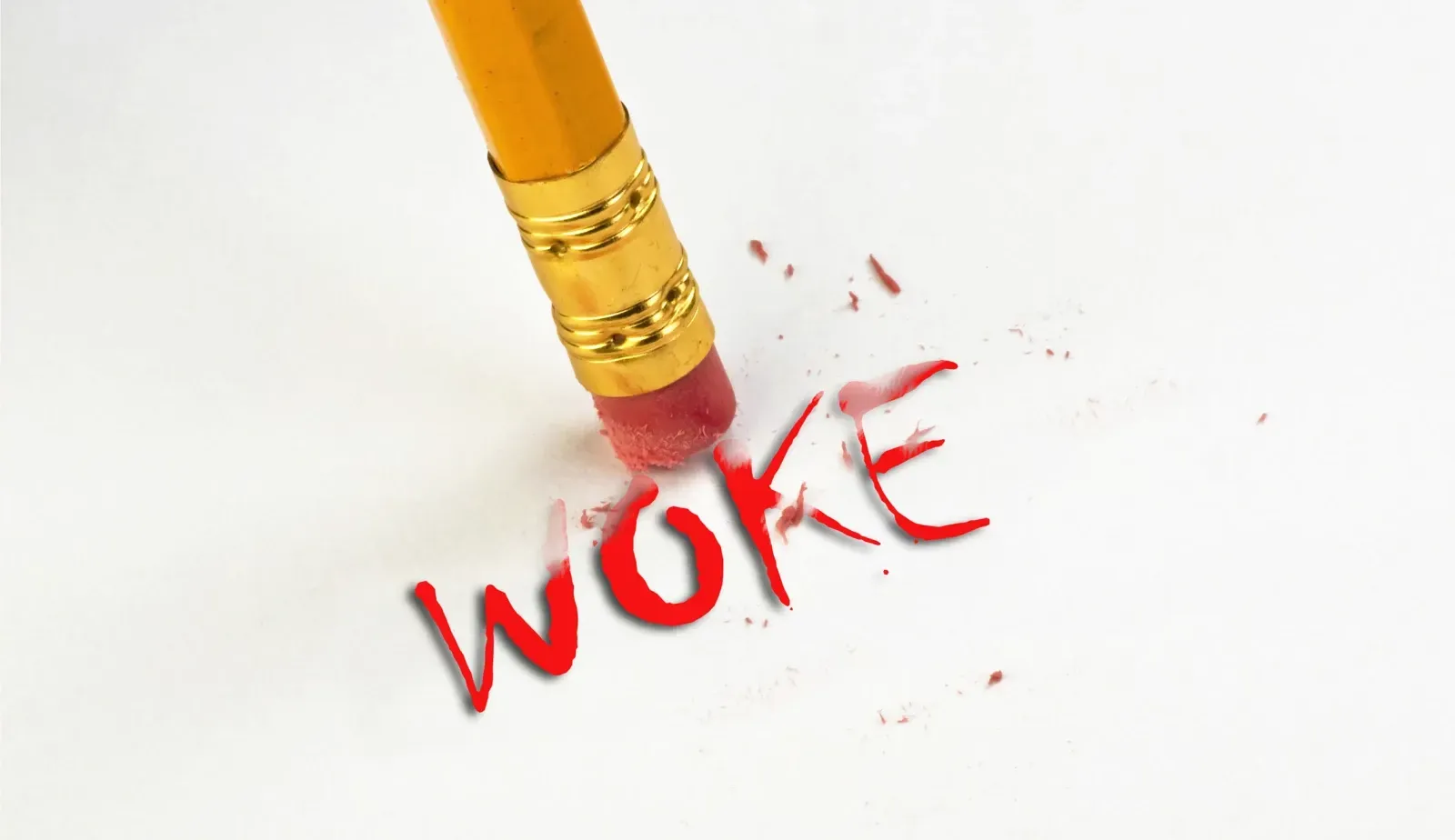 Why companies go woke