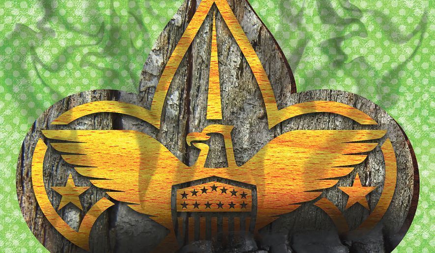 Woke Scouts and the death of another American institution