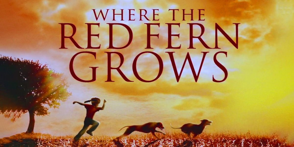 Where The Red Fern Grows