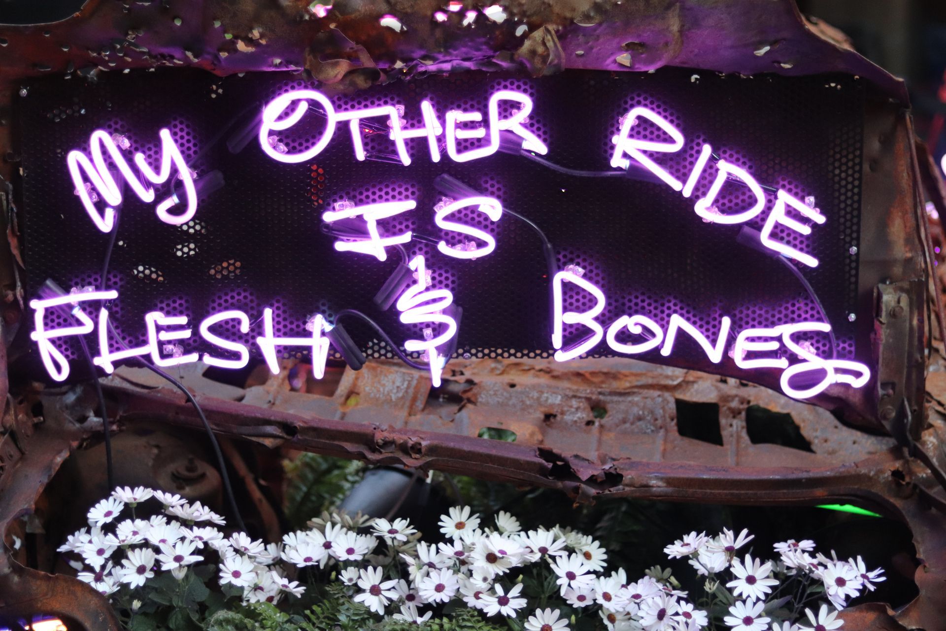 Neon sign: 