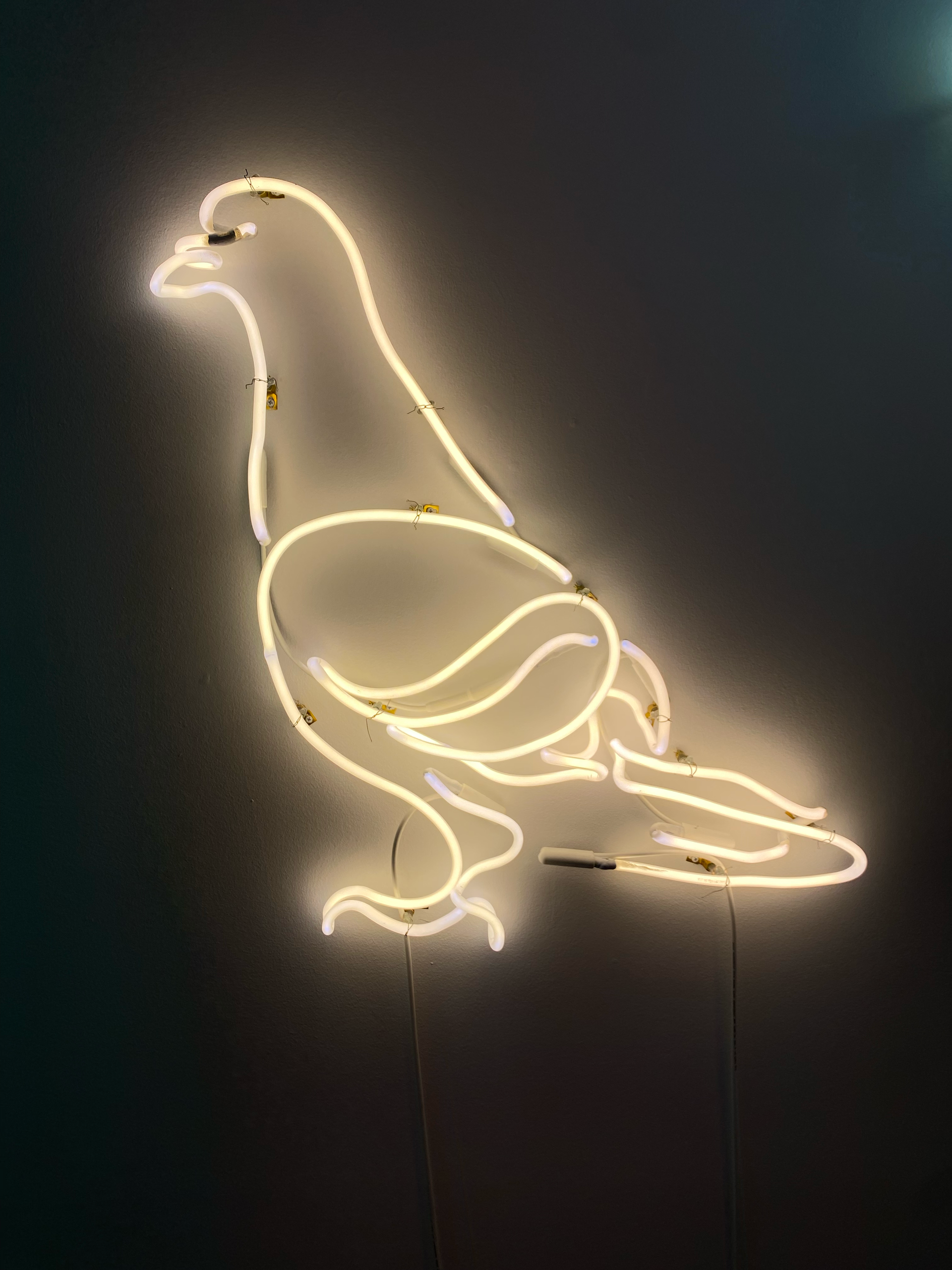 Neon light outline of a pigeon, by Yale Wolf, glowing yellow against a dark background.