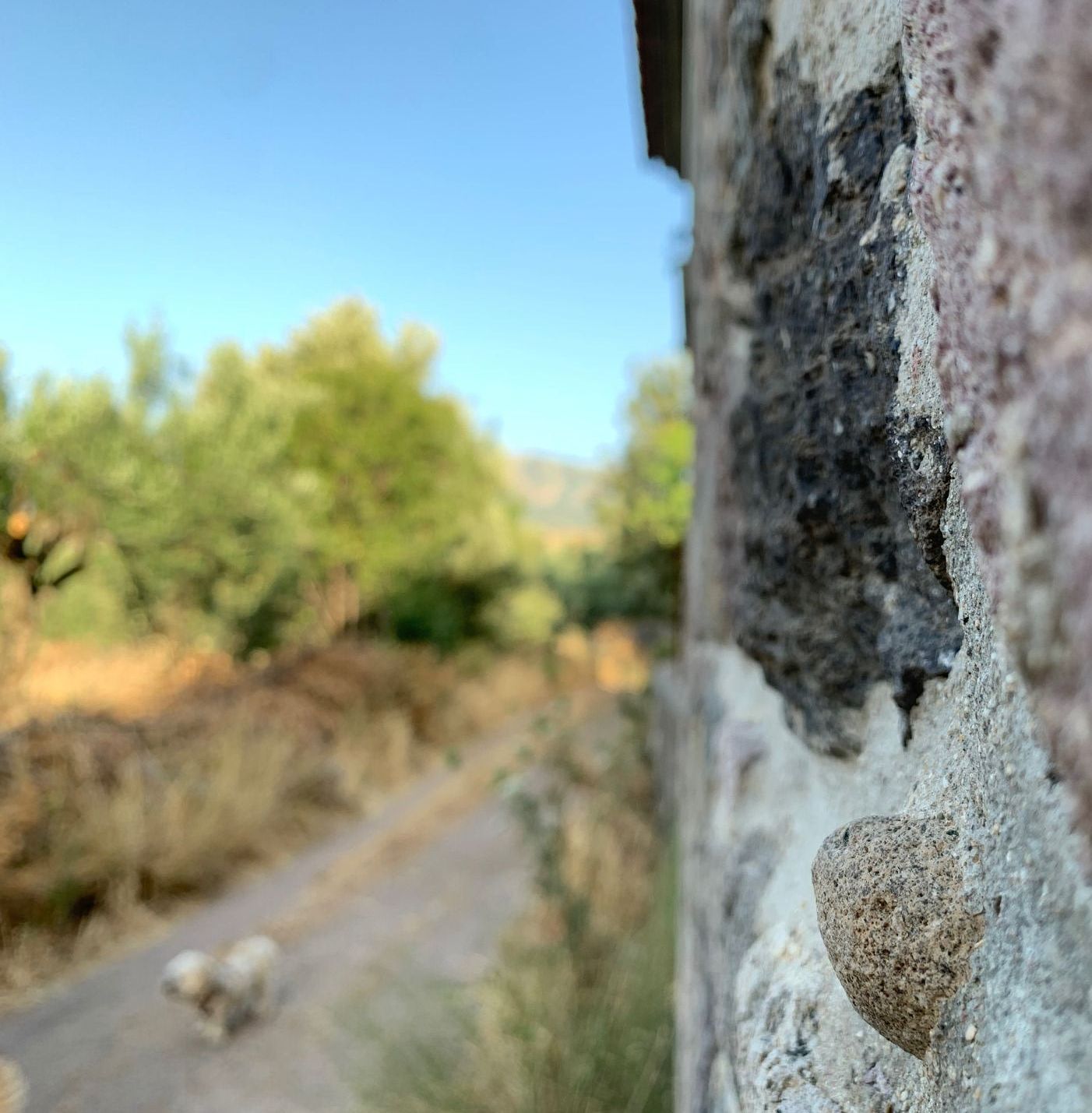 Detail van een stenen muur met een wazige weg, bomen en lucht op de achtergrond. Een schaap loopt over de weg.