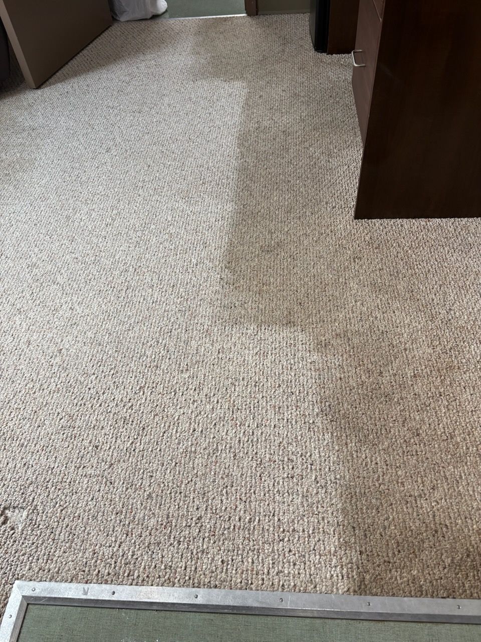 Carpeted hallway with a beige textured runner and dark wood doorways on both sides