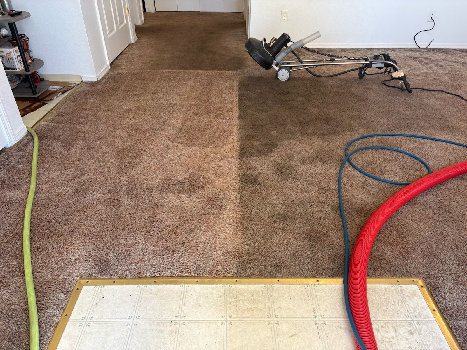 Carpet cleaning nozzle suctioning dirt from a beige carpet in a room