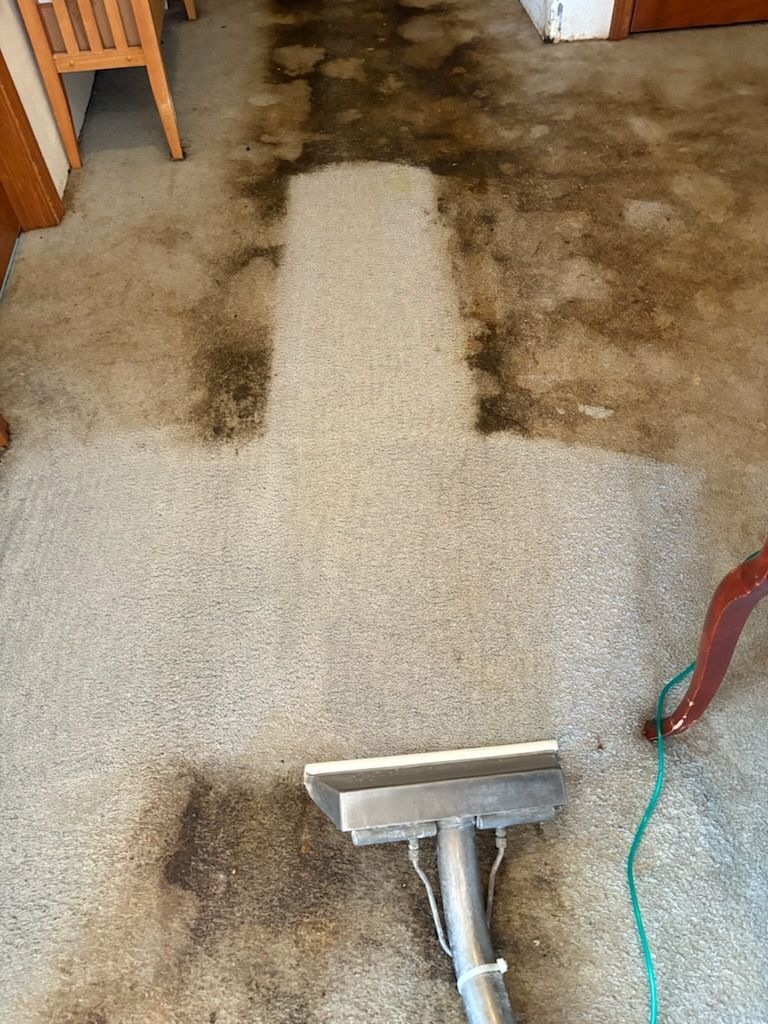 Carpet cleaning nozzle suctioning dirt from a beige carpet in a room