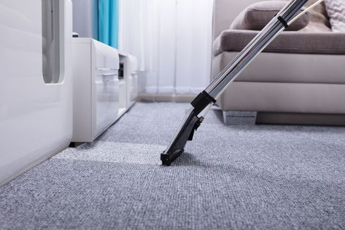 Vacuum cleaner nozzle on gray carpet in a bright living room