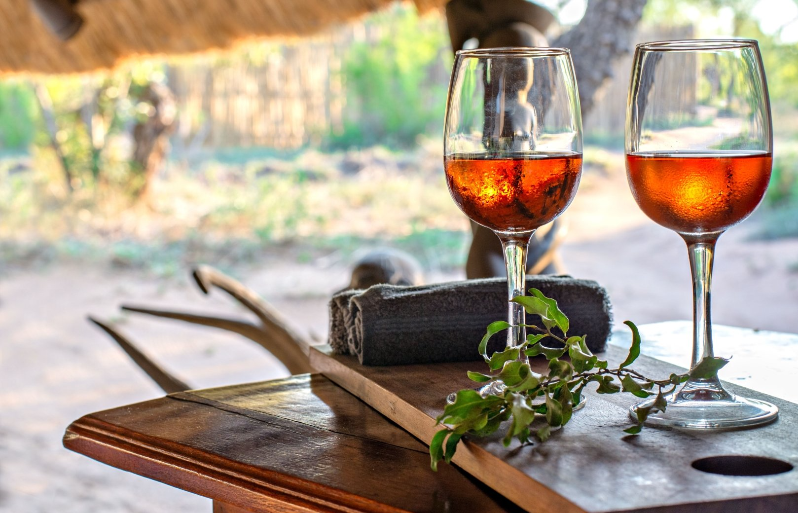 Two glasses of amber-colored liquid sit on a wooden table in a safari setting with a blurred, sunlit landscape beyond.