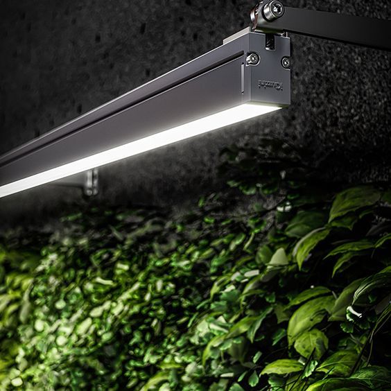unique shaped upLights