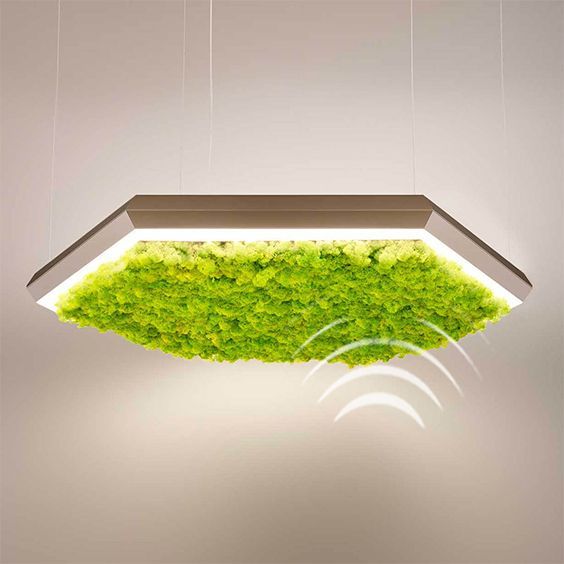 Frame Lights