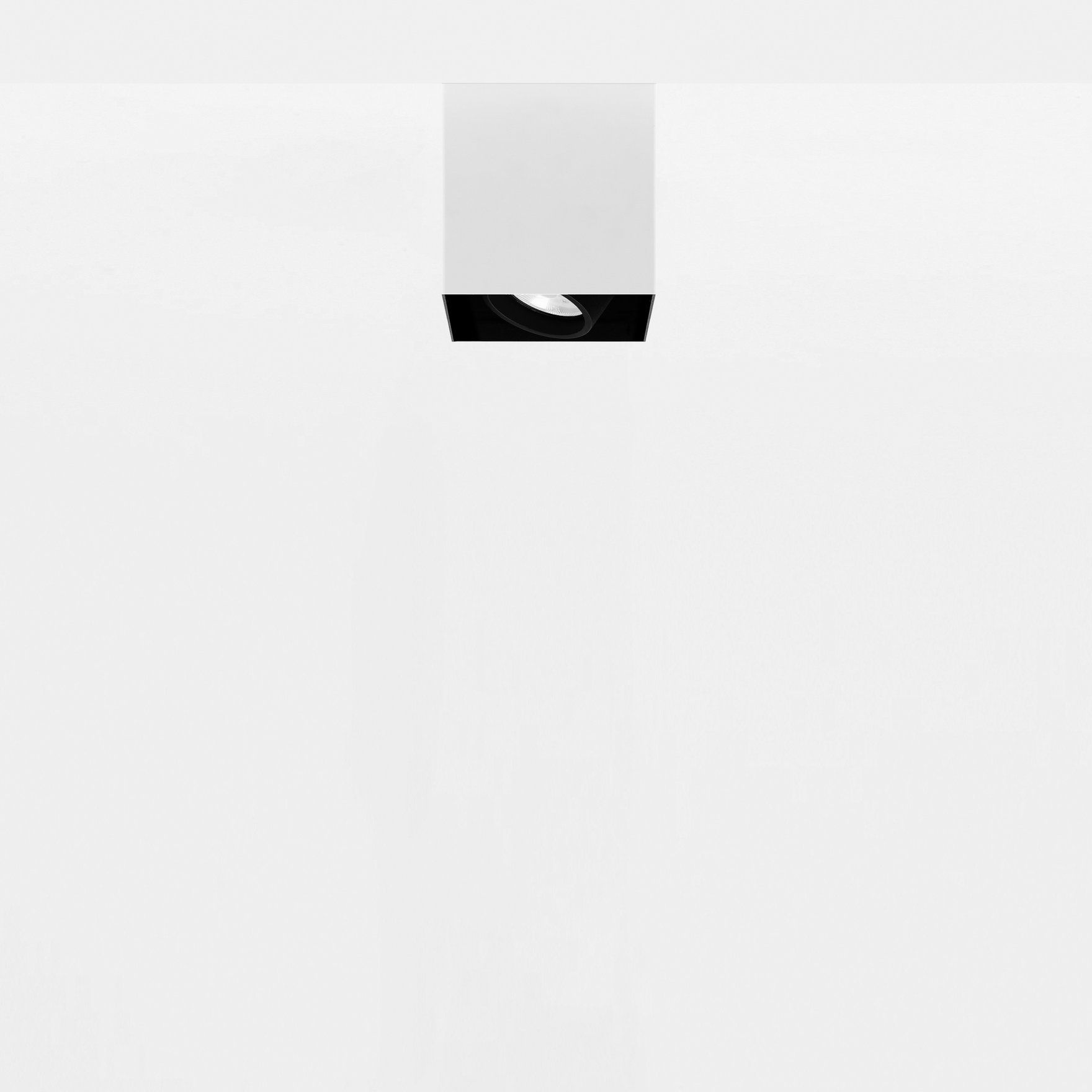 tiltable downlight