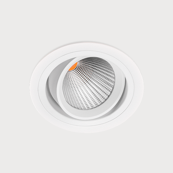 tiltable downlight