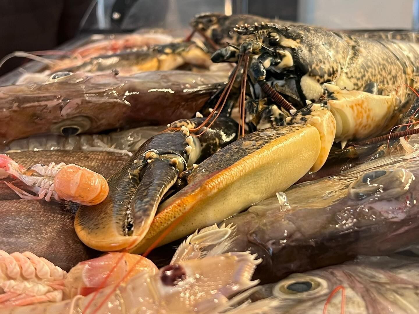 pesce fresco