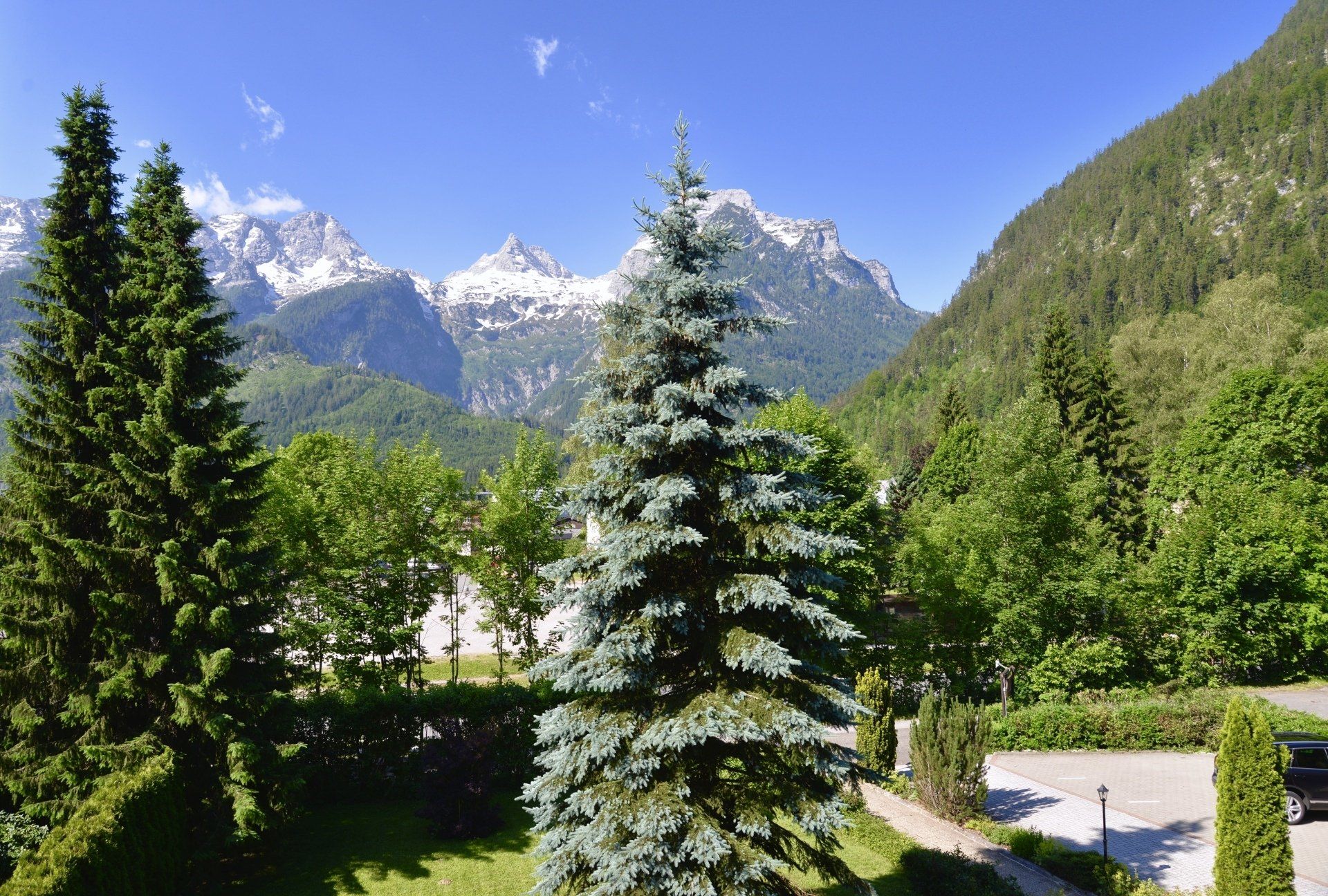 Verschneite Berge über einem grünen Wald und Garten unter klarem, blauem Himmel.