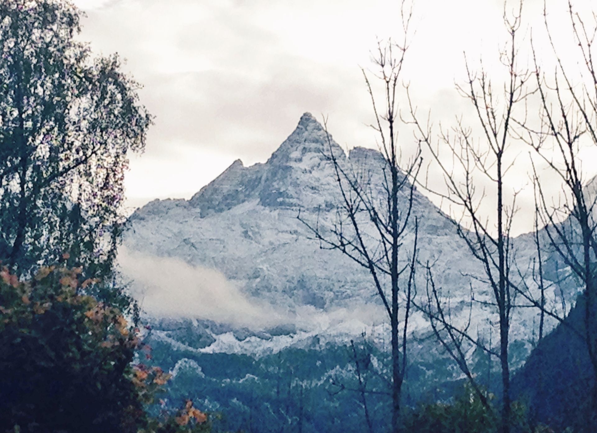 a snowy mountain with trees in the foreground