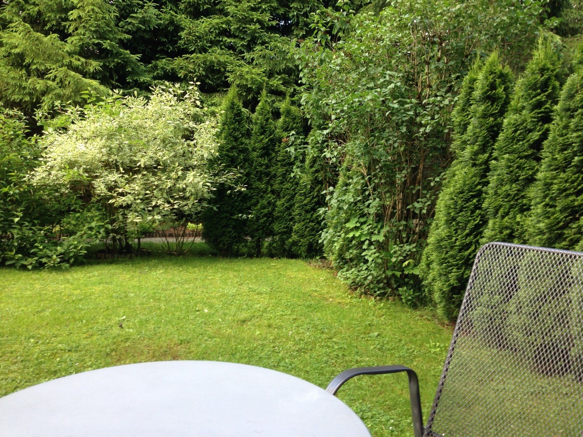 Hinterhof mit grünem Rasen, dichtem Gebüsch und einem Terrassenstuhl neben einem Tisch im Vordergrund