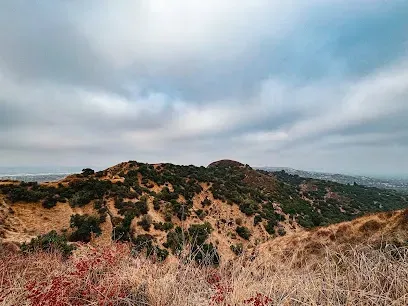 Tree Service Elmonte-Rolling hills with patches of dry grass and green shrubs under a cloudy sky. The scene conveys a serene and expansive natural landscape.