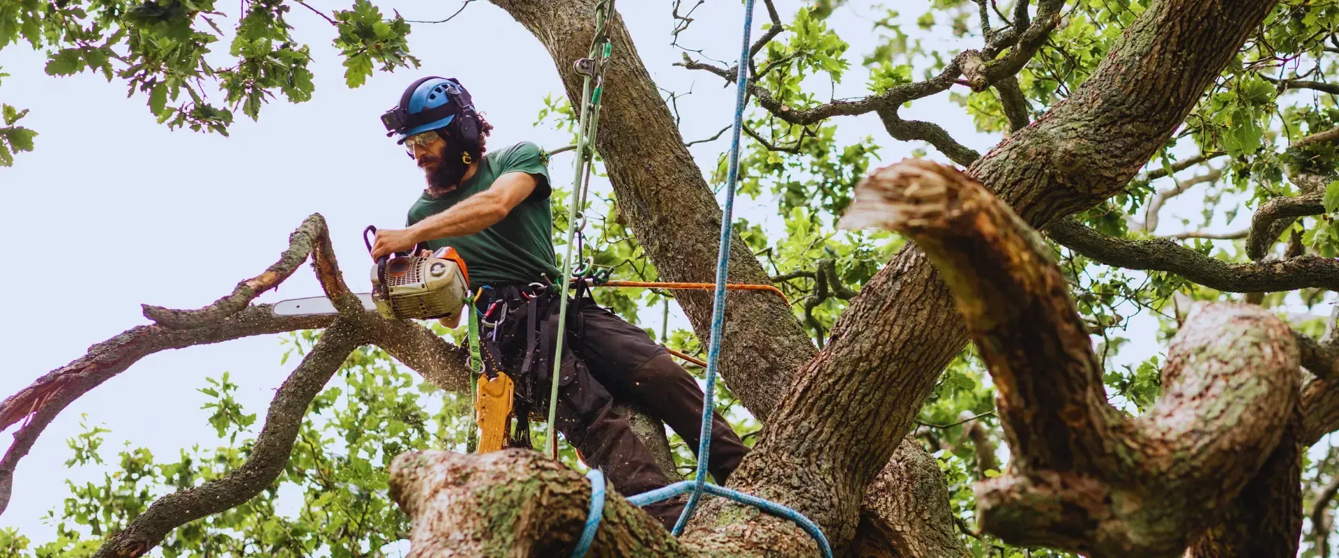 cutting branches using chainsaw