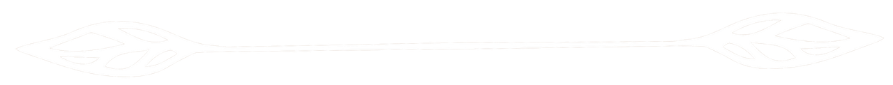 Thin white horizontal line