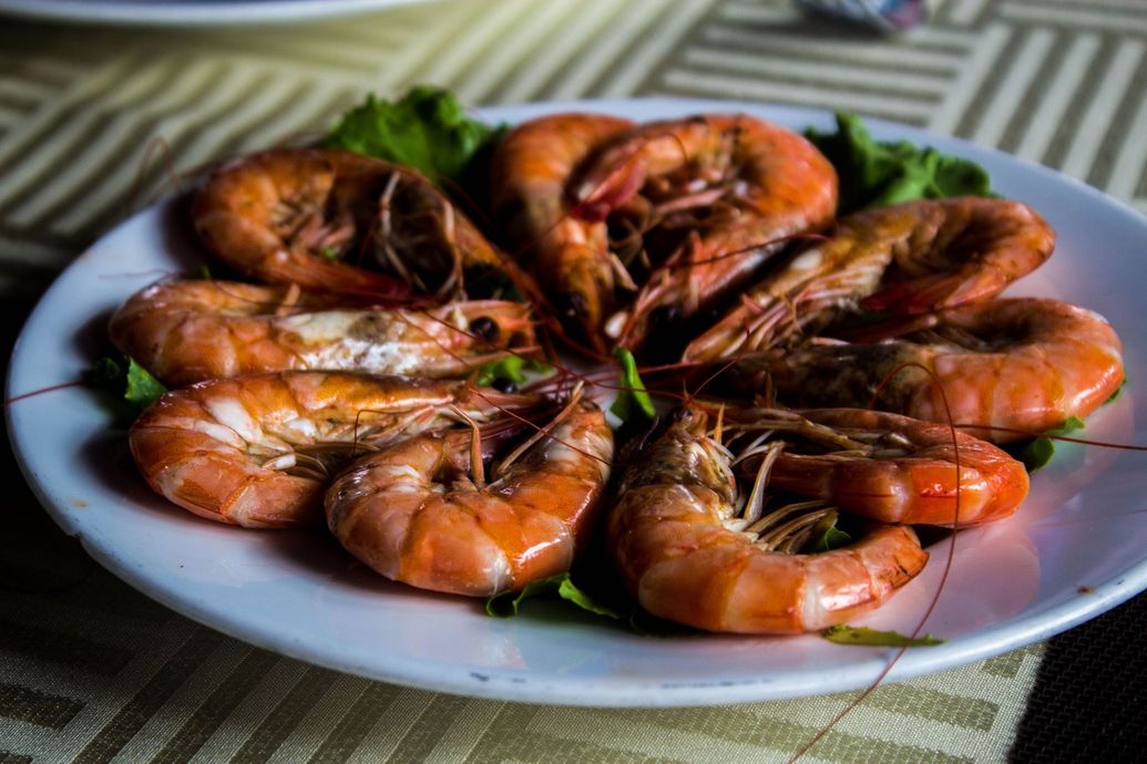 Platter of cooked shrimp arranged in a circle on a white plate with a green garnish