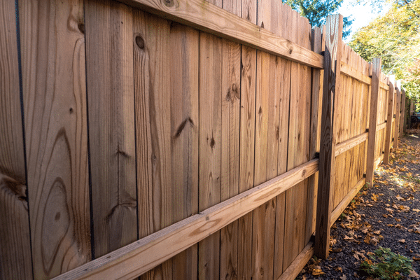 Wooden privacy fence along a narrow outdoor path with fallen leaves and sunlight