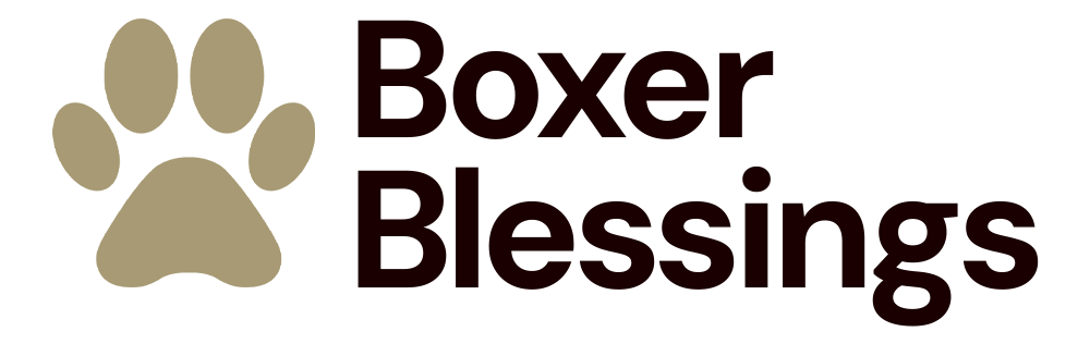 Boxer Blessings
