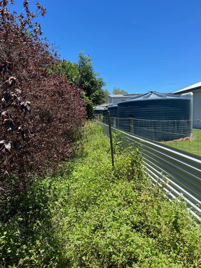 Backyard garden beside a corrugated metal fence and shed under a bright blue sky — Rolling With Netherpoel in Bowen, QLD
