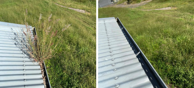 Metal roof beside overgrown grass and weeds, showing a close-up of the roof edge and surroundings — Rolling With Netherpoel in Bowen, QLD