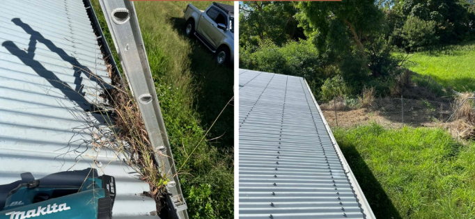 Roof edge with ladder and tools on the left, and a cleaner shingled roof beside a grassy yard on the right — Rolling With Netherpoel in Bowen, QLD