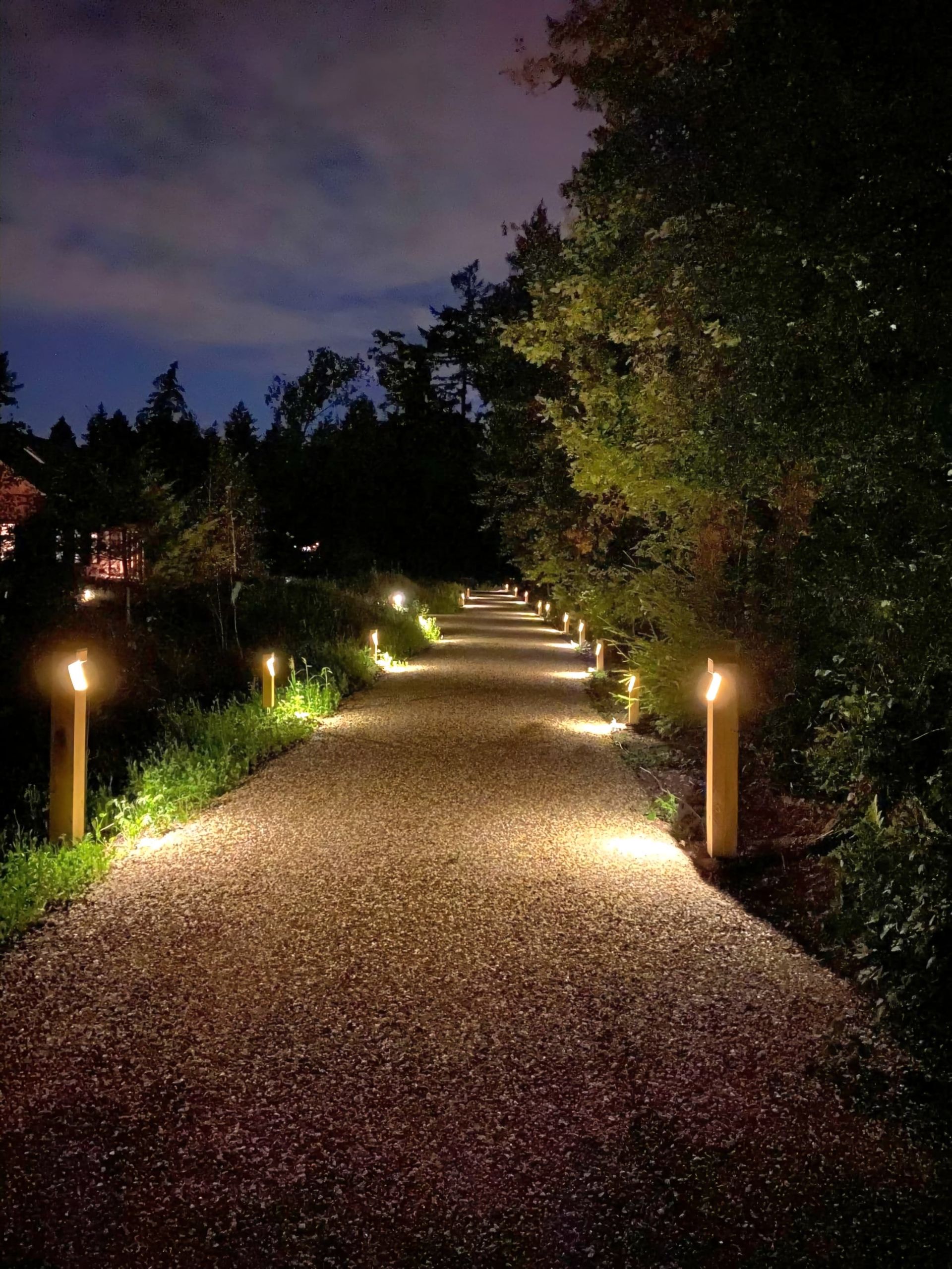 Een grindpad 's nachts, verlicht door kleine lampjes. Bomen en een donkere hemel omringen het pad.