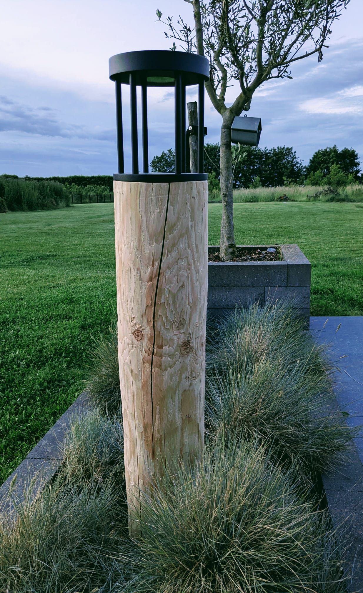 Een brandende lantaarn op een verweerde houten paal in een tuin, naast een olijfboom.