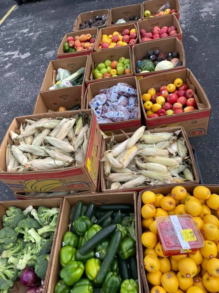 Boxes of fruits and vegetables are lined up in a parking lot.
