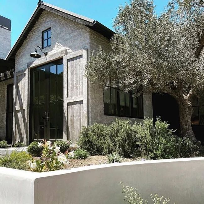 Modern house exterior with large windows, olive tree, and landscaped front garden