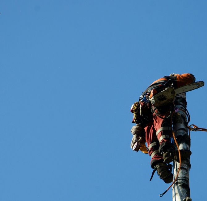 Climber with gear atop a pole against a clear blue sky