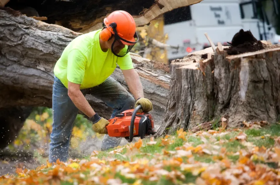 Worker in neon shirt and orange helmet cutting a tree trunk with a chainsaw outdoors