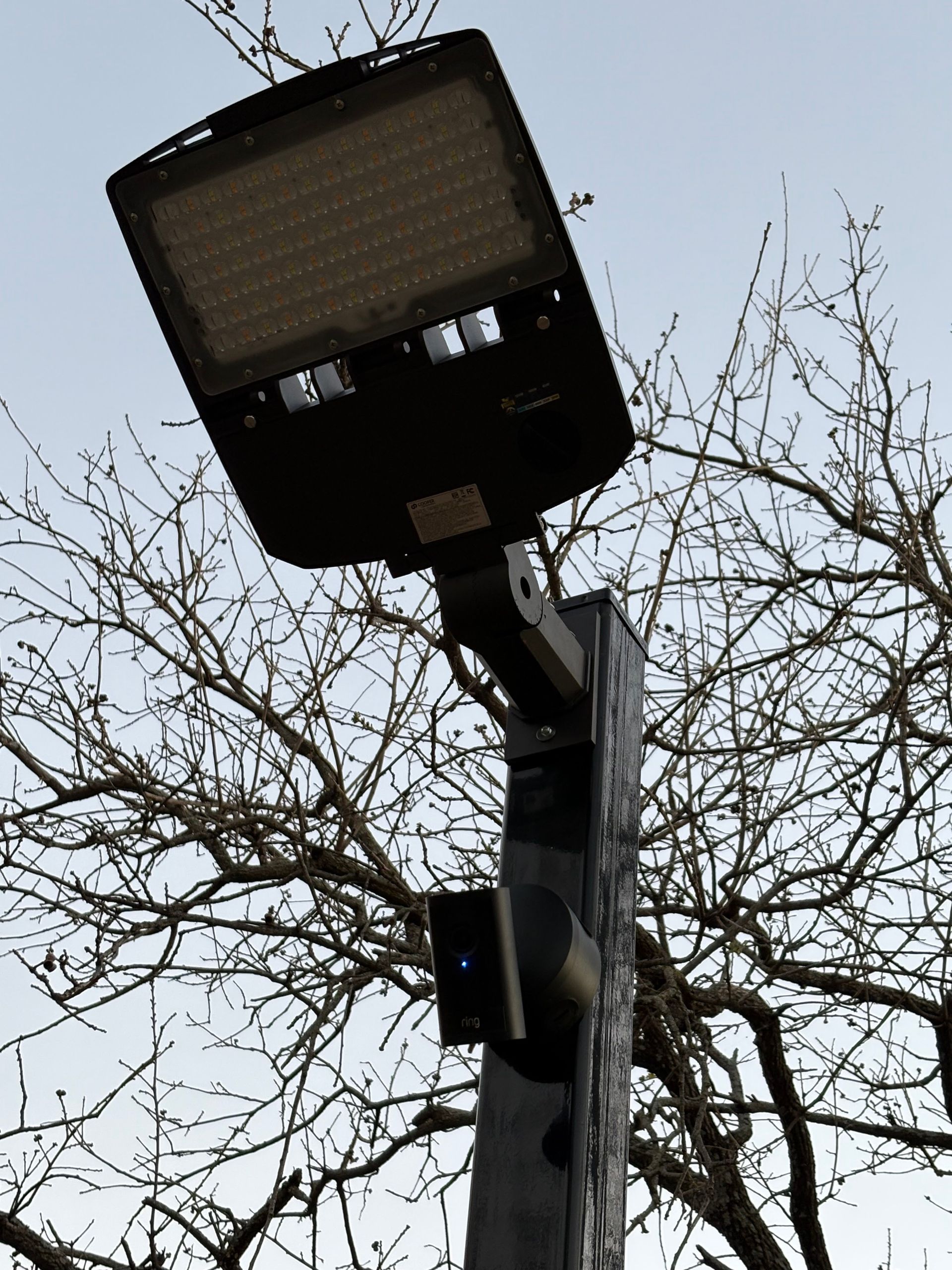 Streetlight pole with large rectangular lamp against bare tree branches and overcast sky
