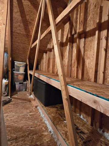 Inside an unfinished wooden shed with leaning boards, a black trough, and a bucket near the back.