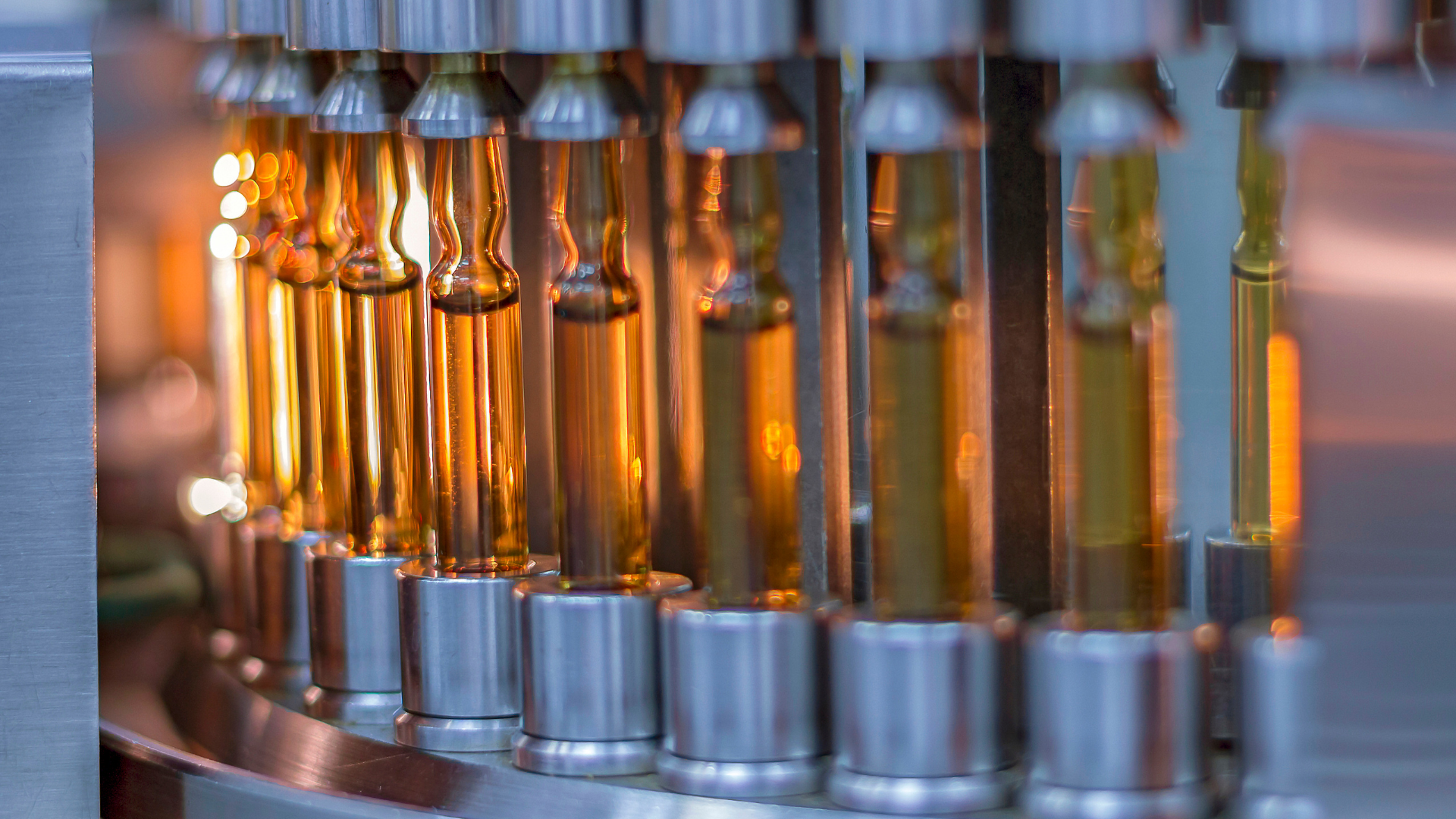 Close-up of glass ampoules filled with amber liquid in a laboratory tray