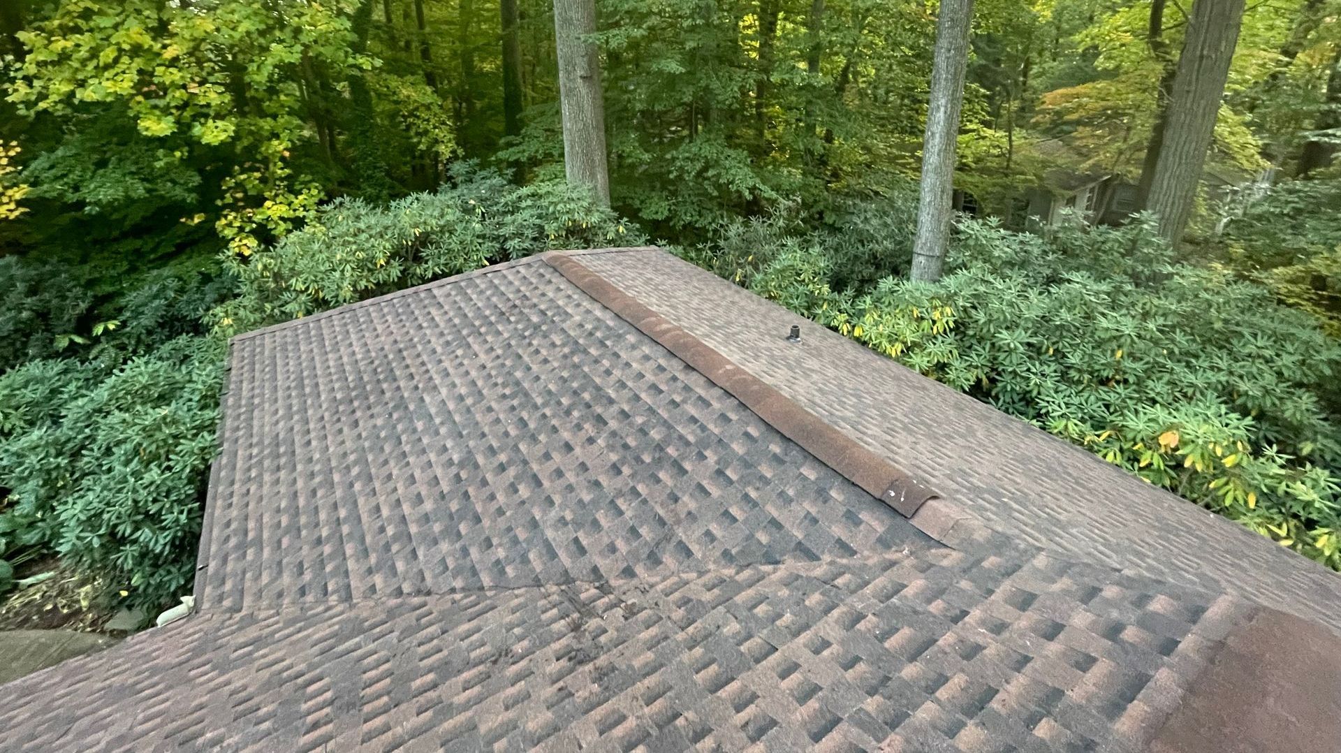 The roof of a house is surrounded by trees and bushes.