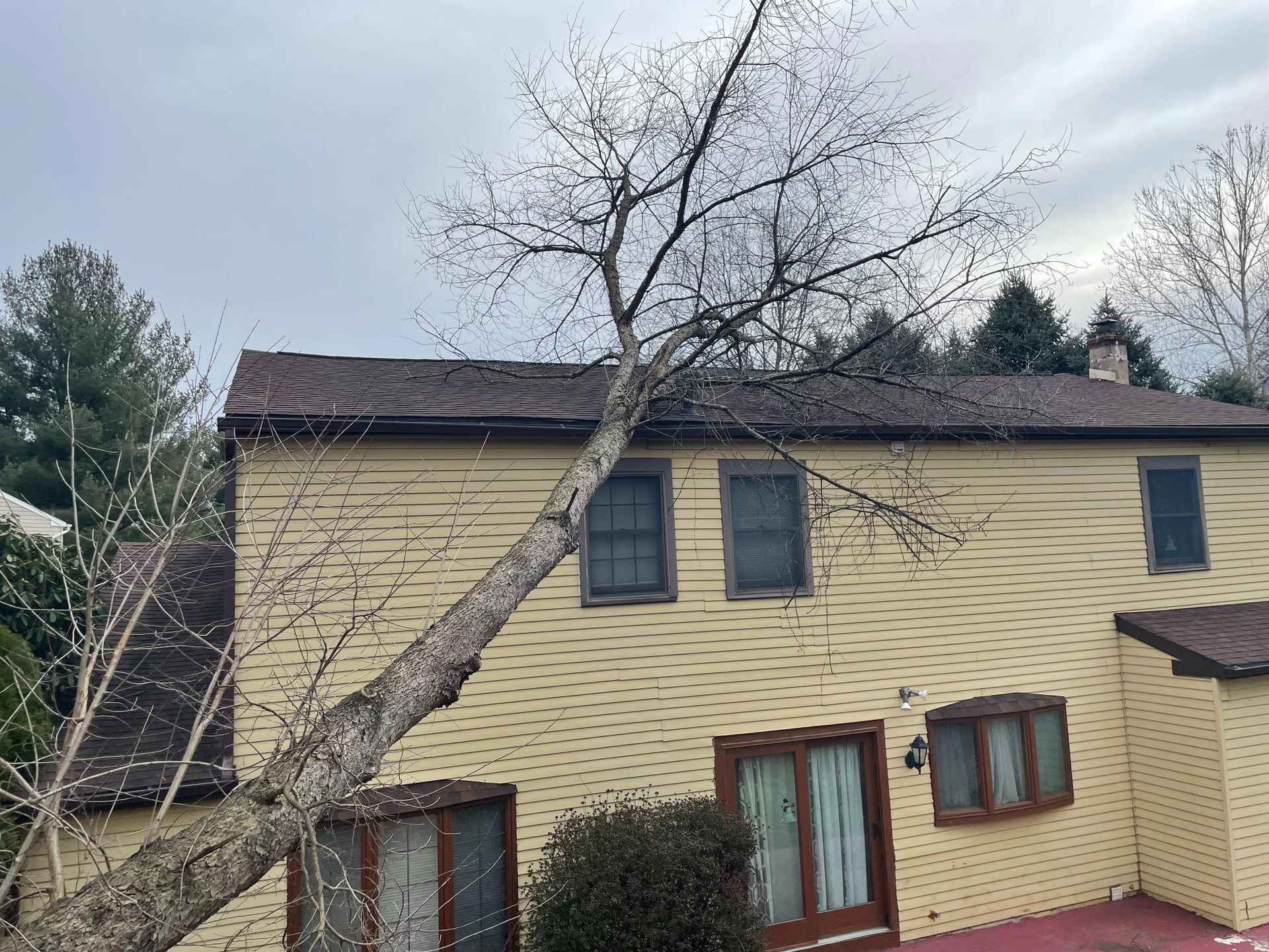 A tree leaning against a two-story beige house with brown trim and roof. Cloudy sky.