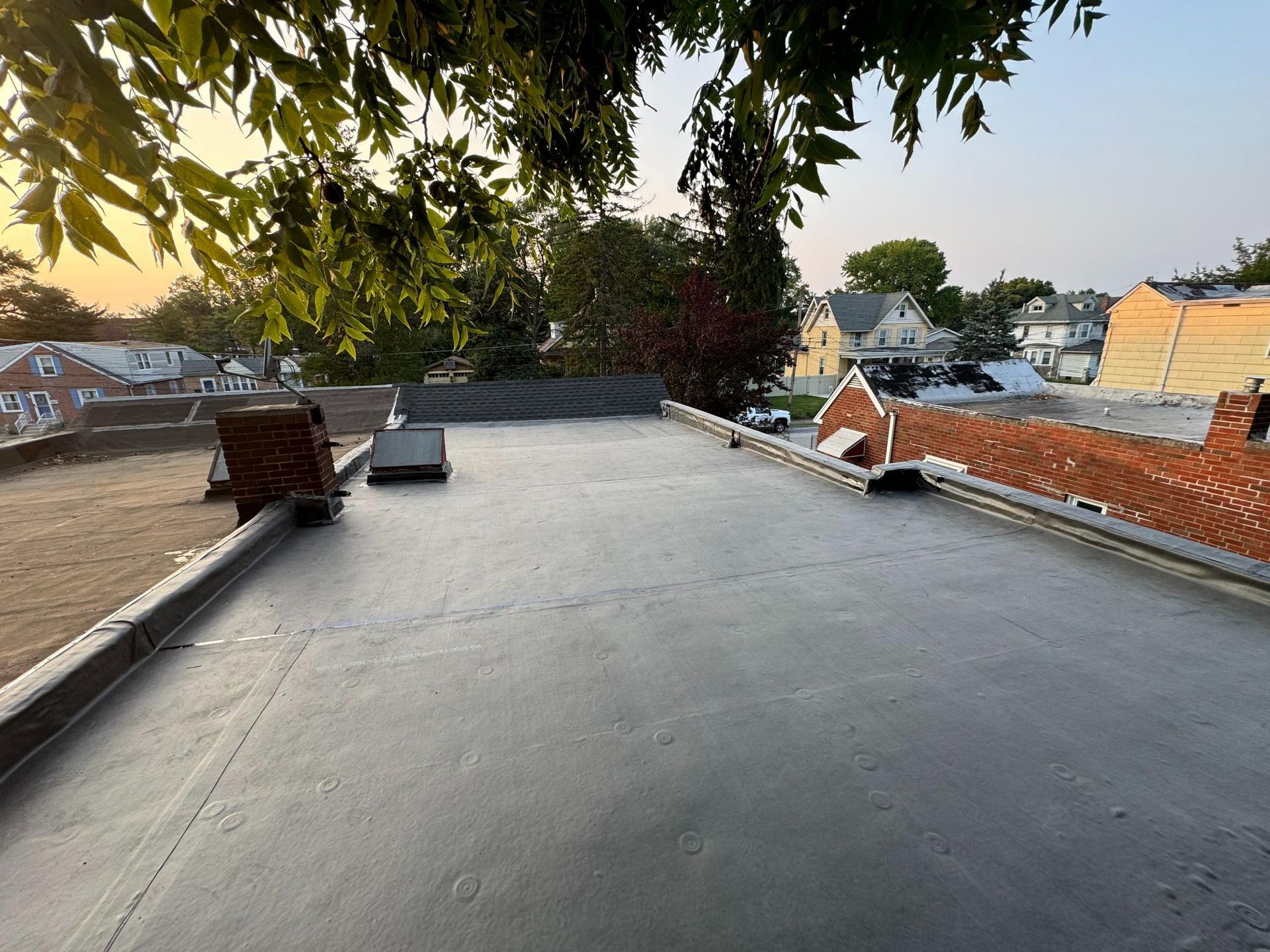 A rooftop with a view of a city and a tree.