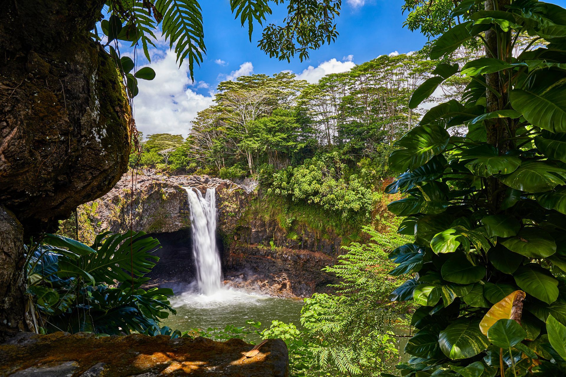 Tour guidati alle Hawaii