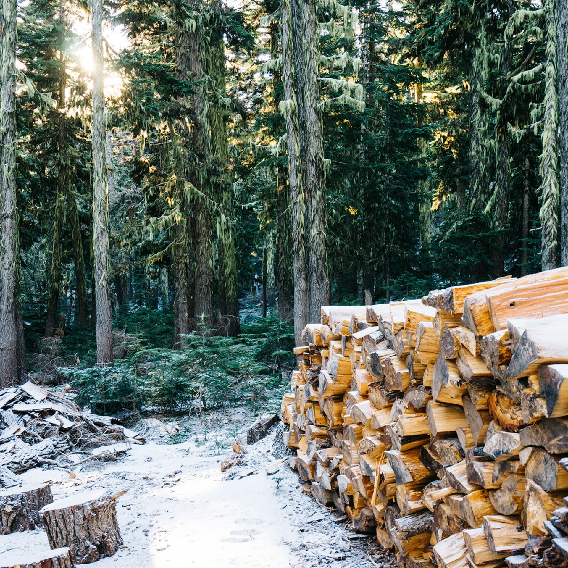 Land Clearing & Lot Clearing